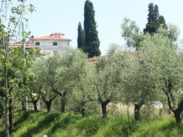 Casali Romei Apartamento Sarzana Exterior foto