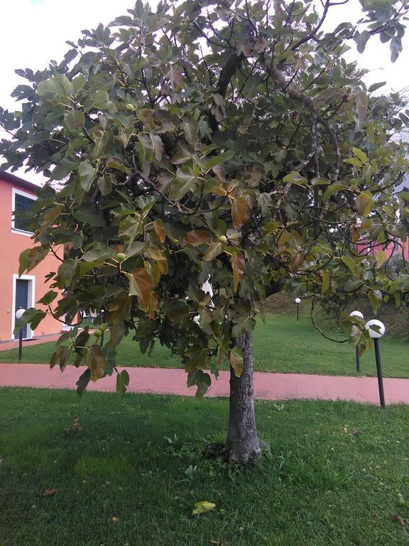 Casali Romei Apartamento Sarzana Exterior foto